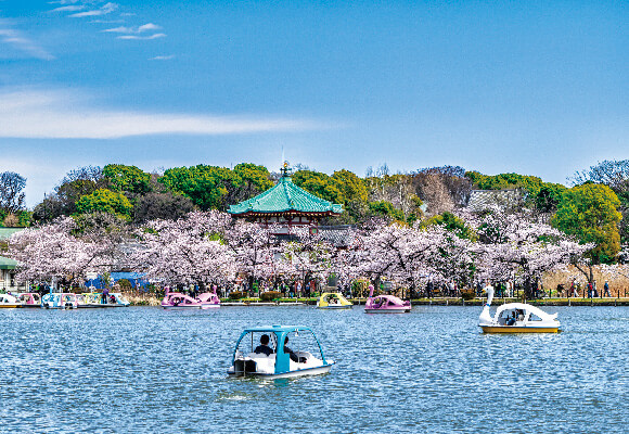 上野恩賜公園