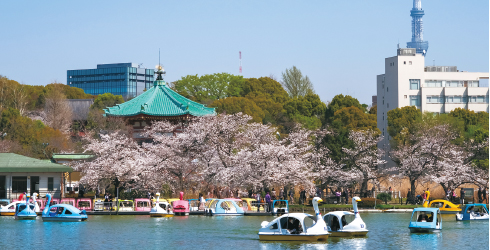 上野恩賜公園