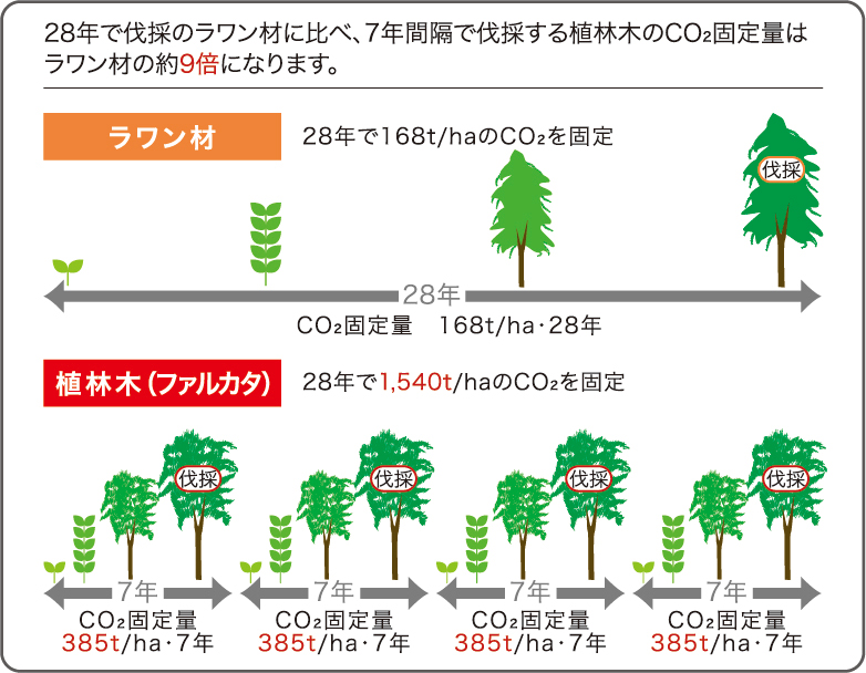 シートフローリング構造図