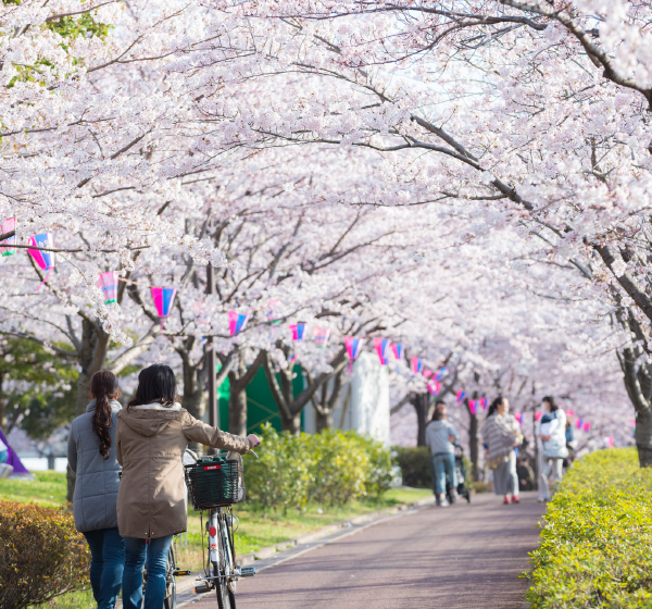 大島小松川公園