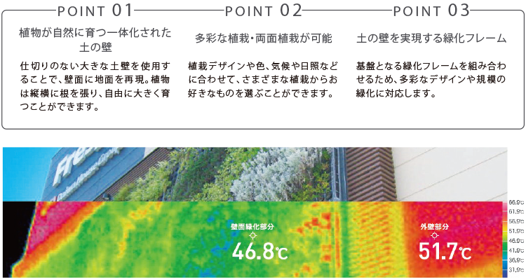 D’sグリーンフレームによる壁面緑化