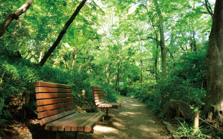 おとめ山公園